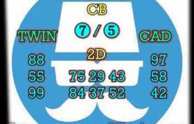 prediksi china 26 november 2024