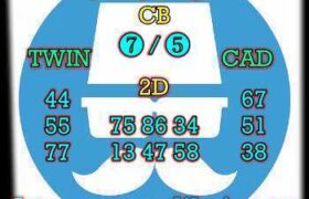 prediksi china 30 desember 2024