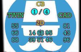 prediksi china 11 februari 2025